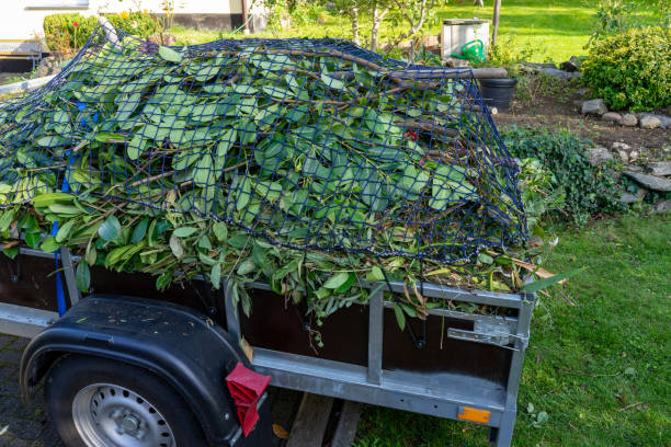 Best Yard Waste Removal  in Toledo, IL